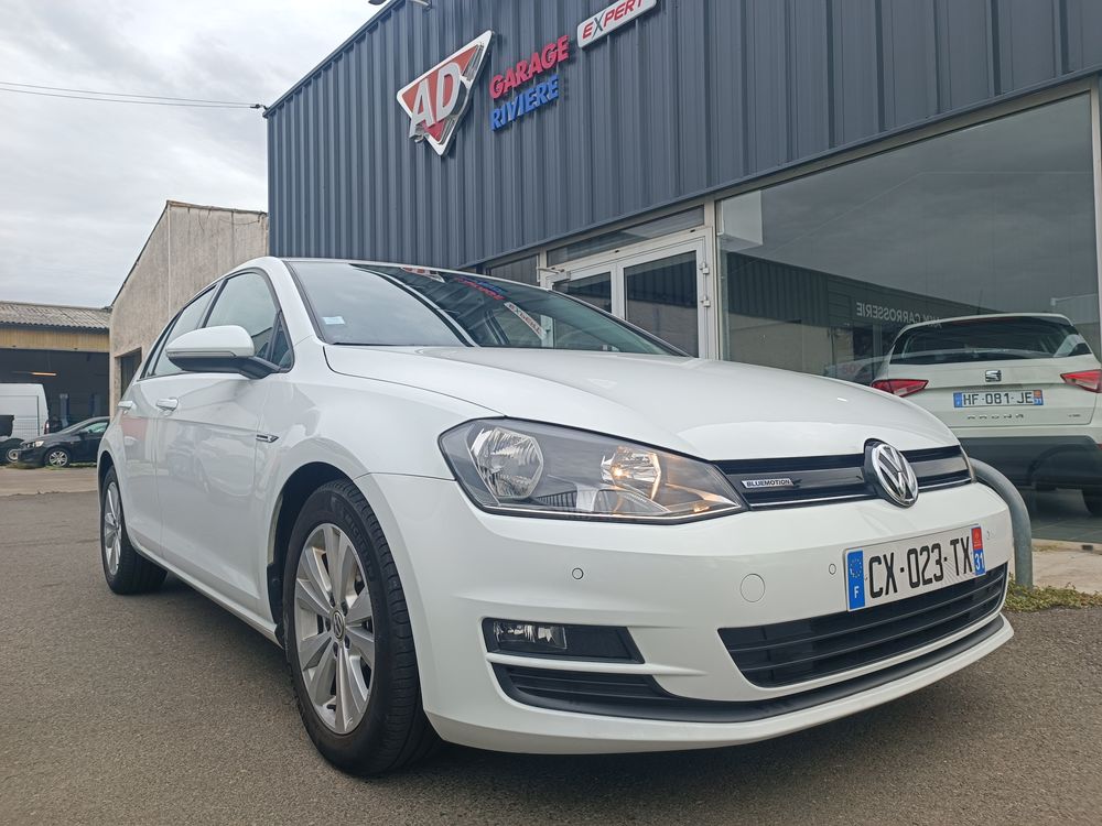 Golf 1.6 TDI 110 BlueMotion Technology FAP Confortline Business 2013 occasion 31150 Fenouillet