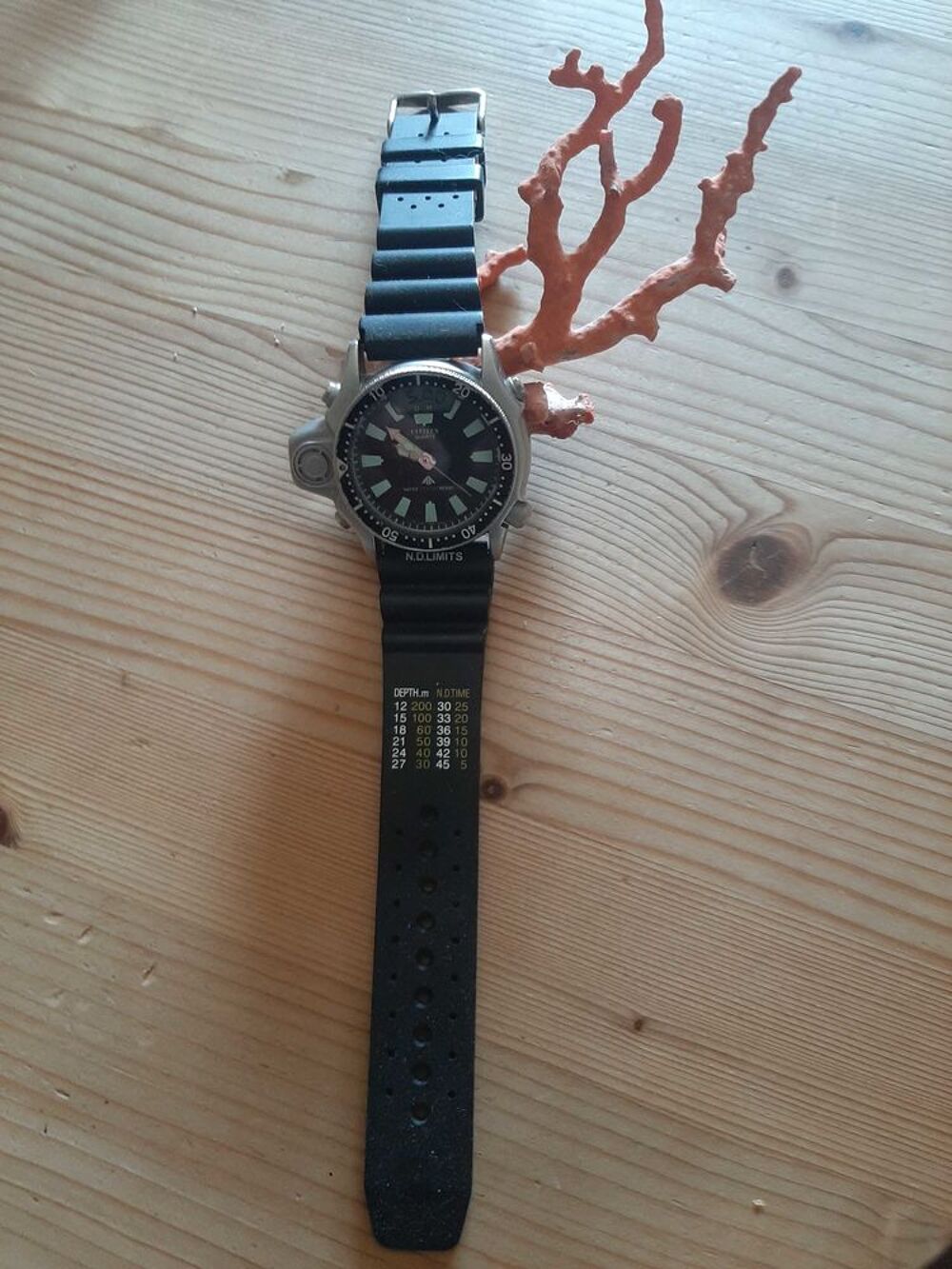 montre Citizen Aqualand 