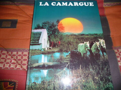 LA CAMARGUE  3 Le Breuil (71)