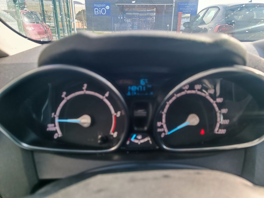 Fiesta 1.5 TDCi 95 Titanium 2017 occasion 31150 Fenouillet