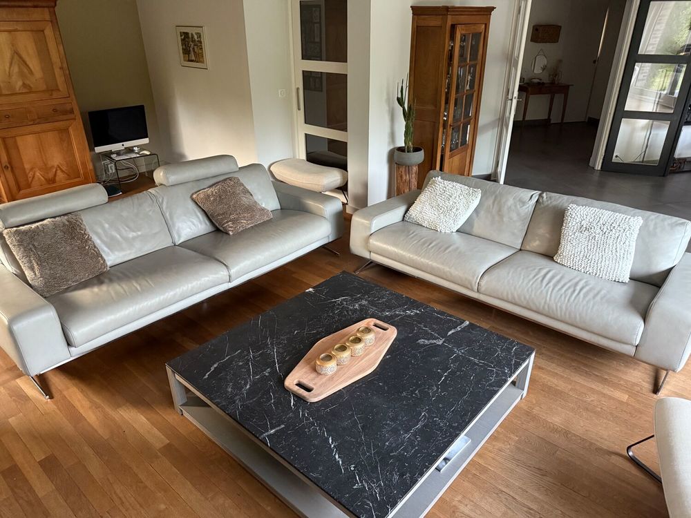 canap&eacute;s Roche Bobois Meubles