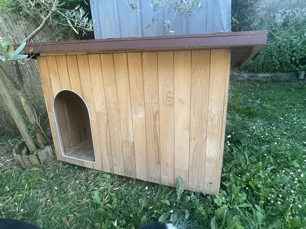 niche pour chian Jardin
