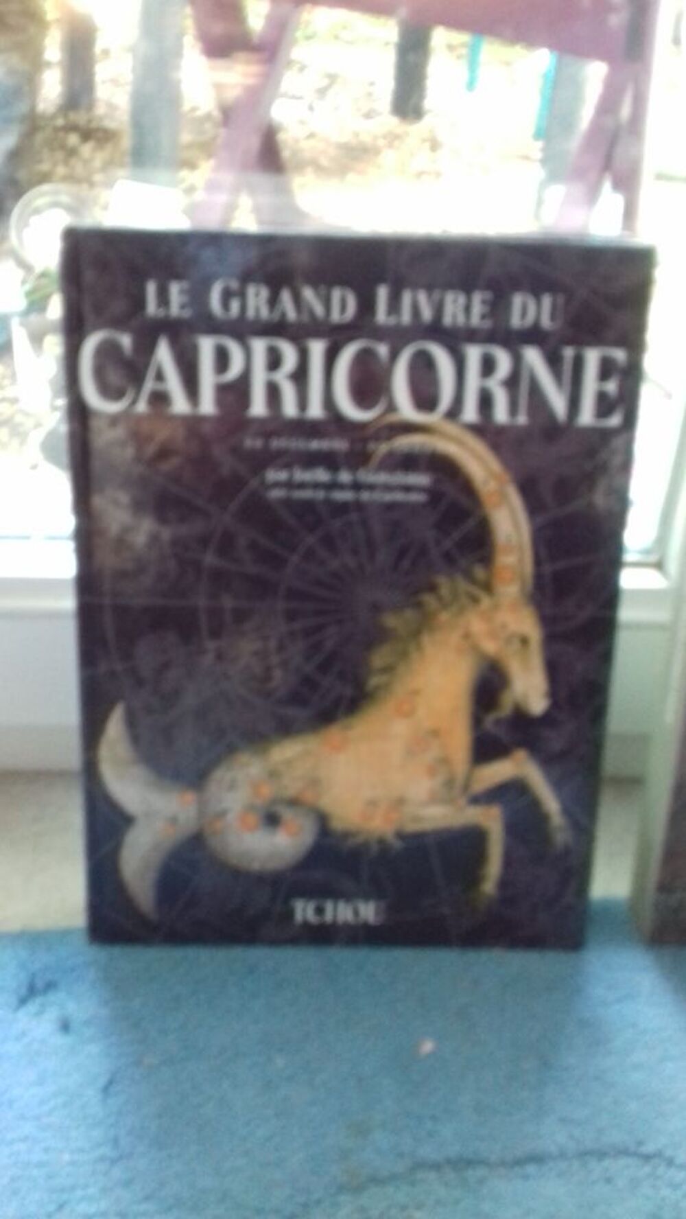 LIVRE ZODIAQUE Livres et BD