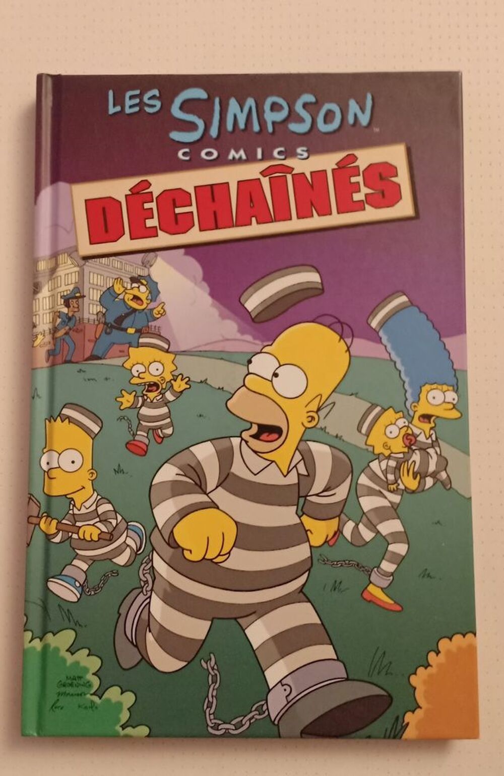 BD les Simpson d&eacute;chain&eacute;s Livres et BD
