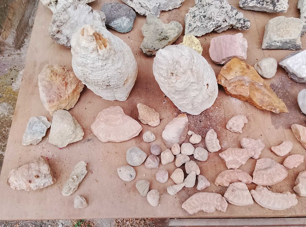 min&eacute;raux et fossiles collection 