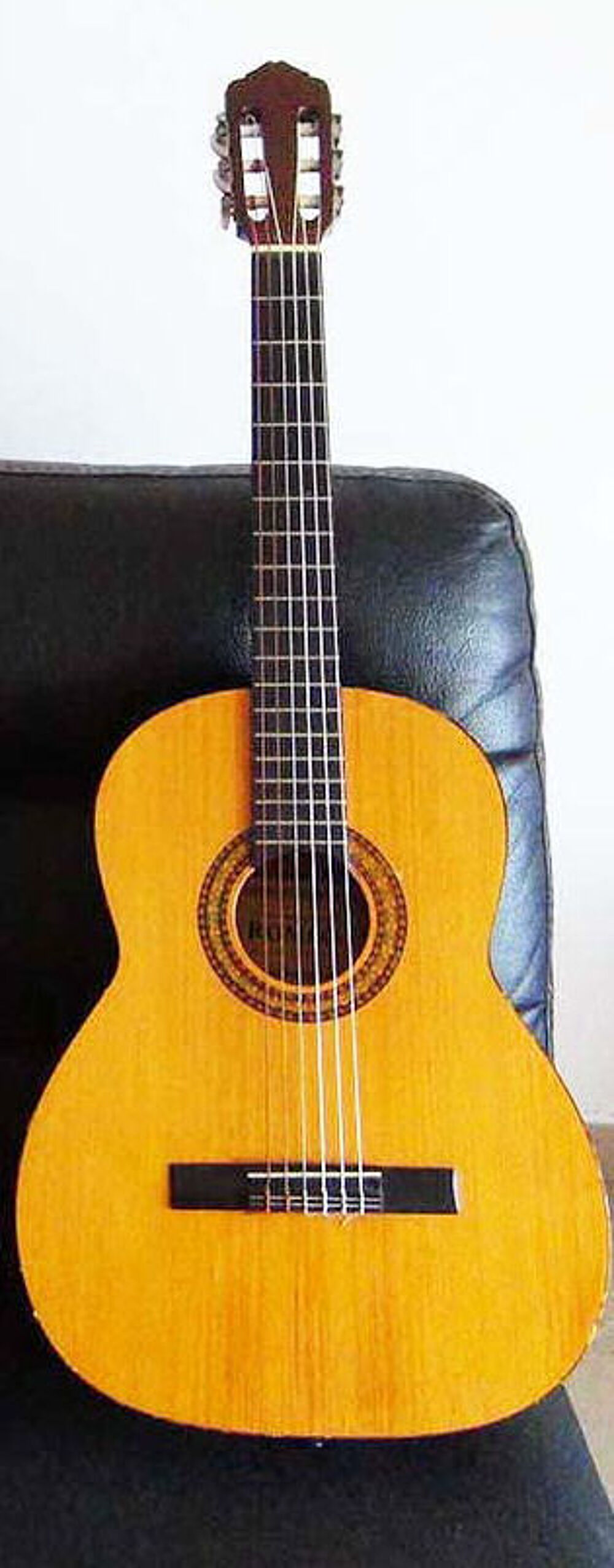 Guitare s&egrave;che Instruments de musique