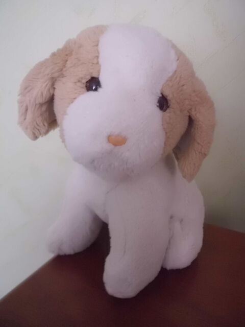 Peluche Chien Boulgom  29 Oignies (62)