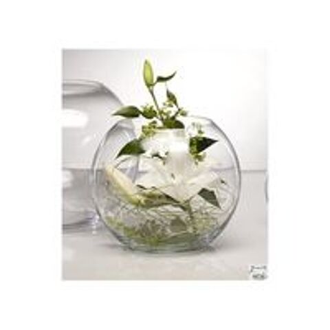   Bocal pour dcoration floral, pas pour un mouroir  poisson 