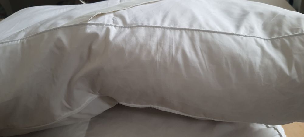 SURMATELAS PLUMES ET DUVETS D'OIE : 120X190 cm avec Sangles Meubles