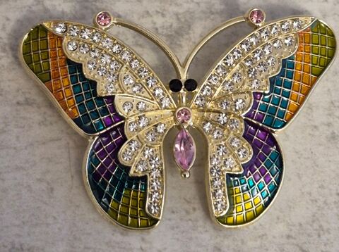 broche papillon  5 Cormeilles-en-Parisis (95)