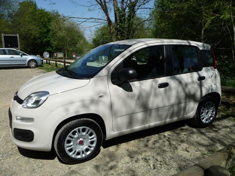 Fiat panda 1.2 69 ch Pop