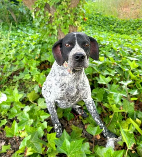 MARIO 320 27620 Gasny