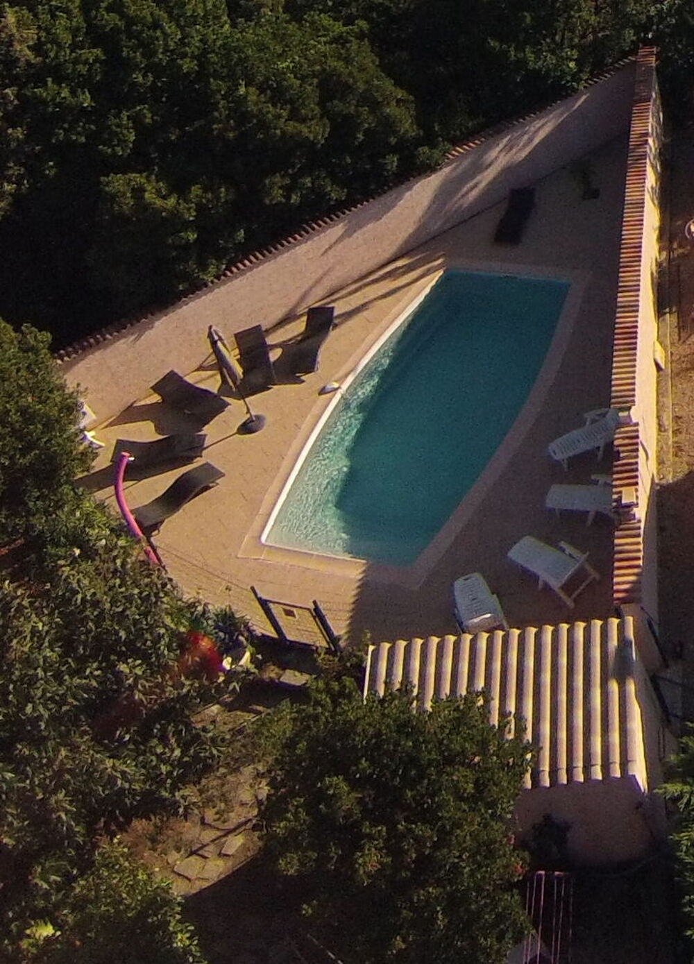   Villa avec piscine dans jardin exotique 10/14 pers Corse, Travo (20240)