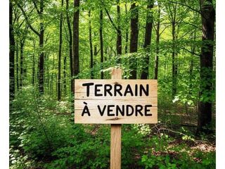  Terrain à vendre 15330 m²