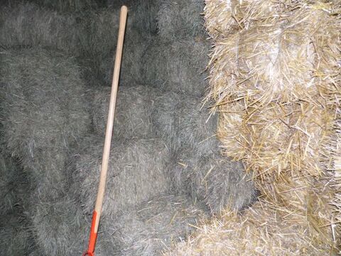 Foin et paille petites balles 55000 Bar-le-duc