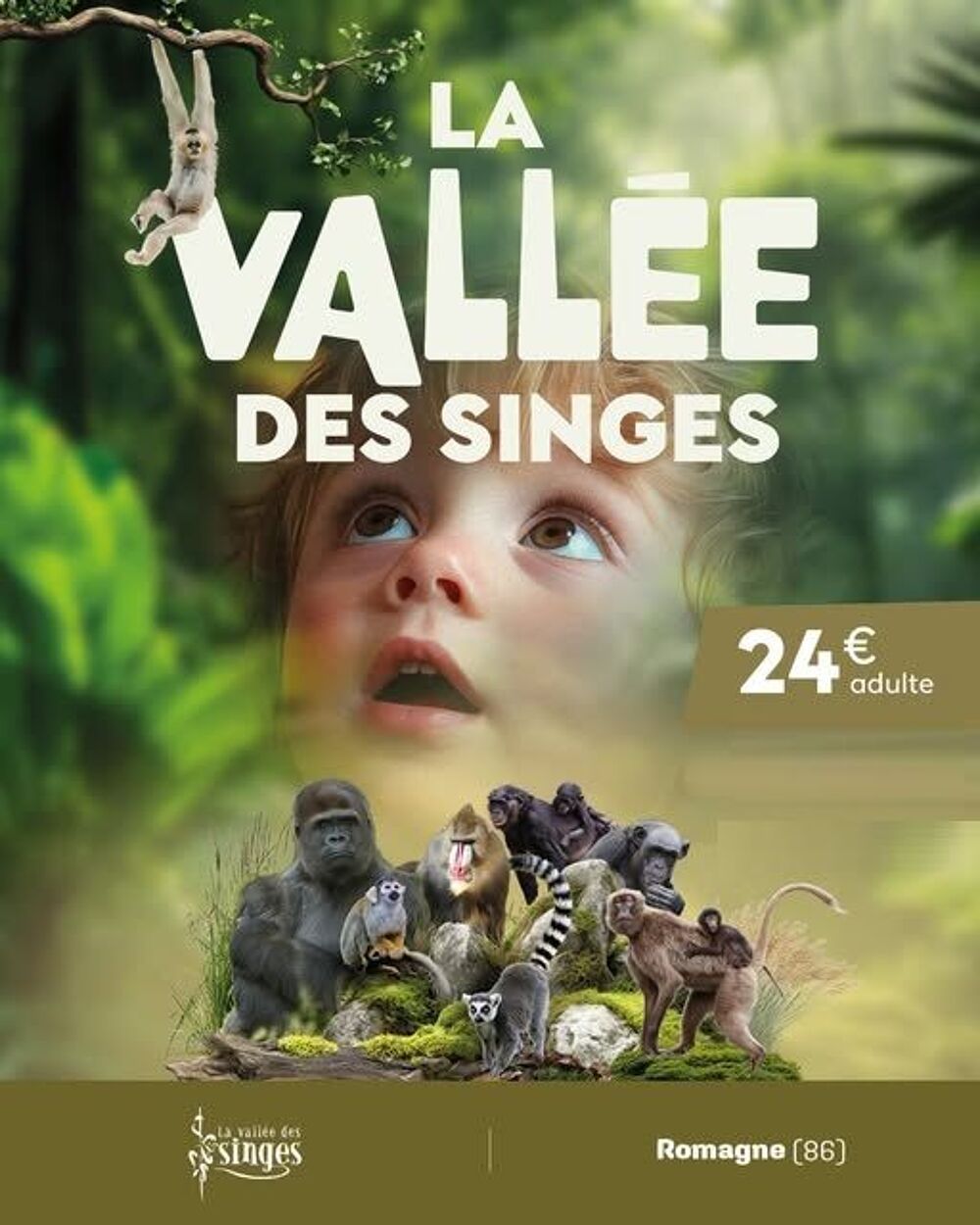 PASS 4 parcs Vall&eacute;e Singes Cormenier Parc Belle, D&eacute;fiPlanet' Billetterie
