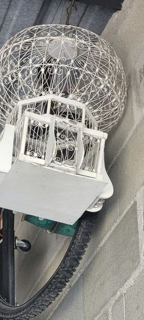 Cage oiseaux 35 Auterive (31)