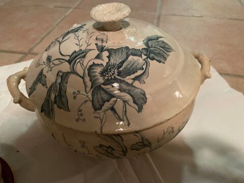 SOUPIERE BLEUE 35 Saint-Firmin-des-Bois (45)