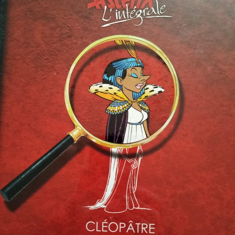 Ast&eacute;rix Livres et BD