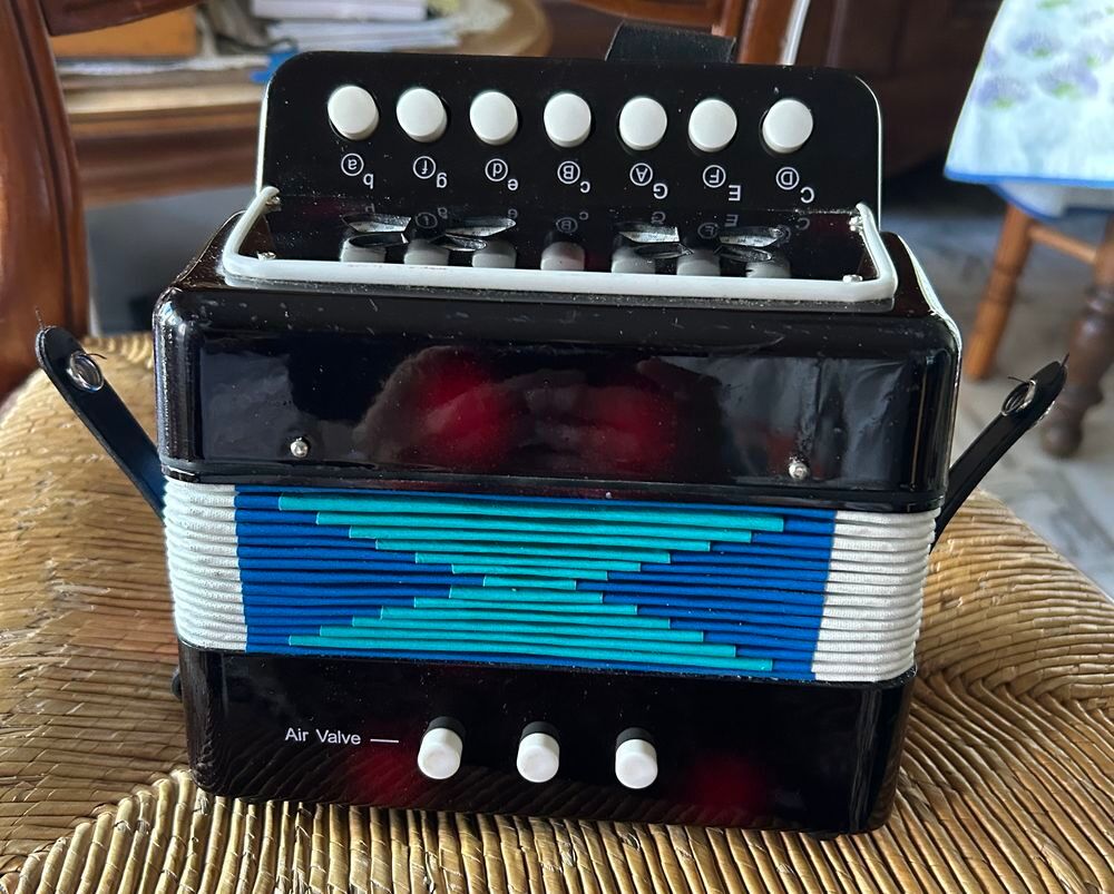 Accord&eacute;on enfant Jeux / jouets