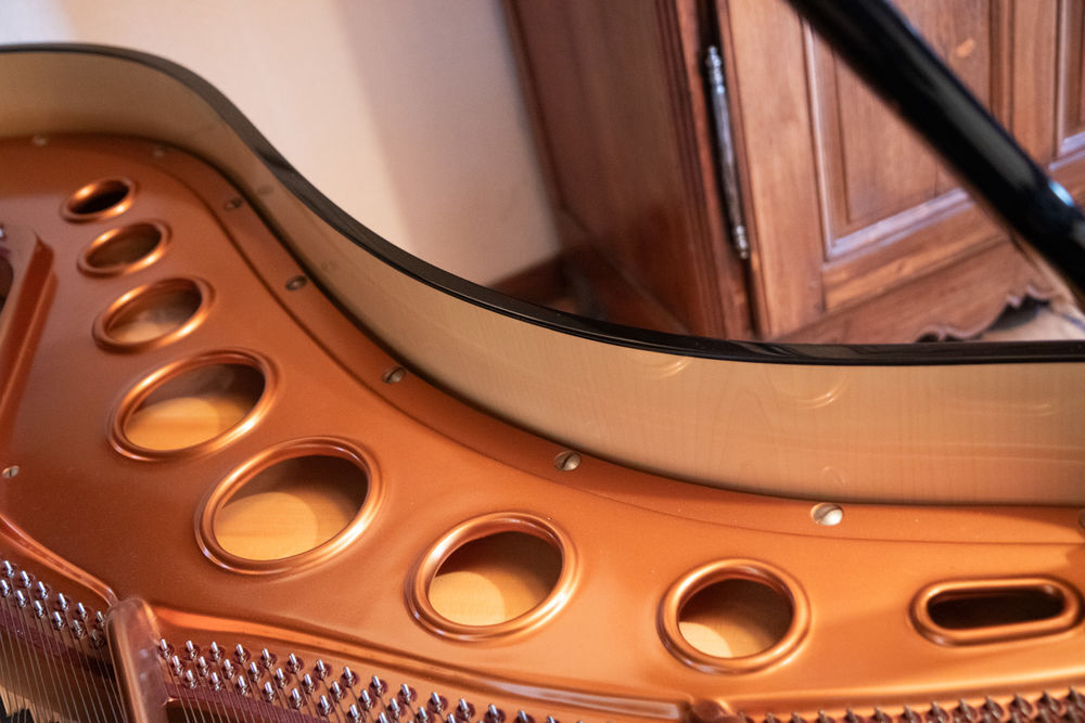 B&ouml;sendorfer Instruments de musique