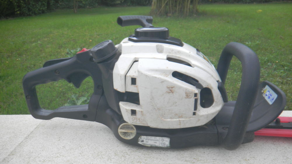 Taille haie thermique ALPINA Jardin
