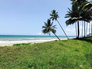  Plateau  vendre 50000 m