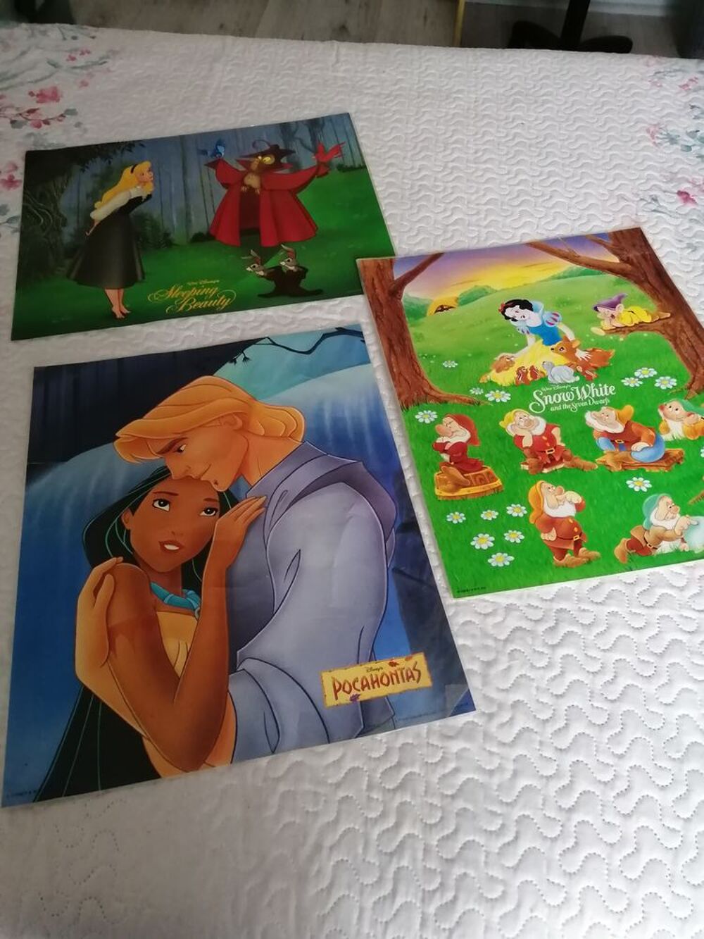 POSTERS PLASTIFIES Décoration