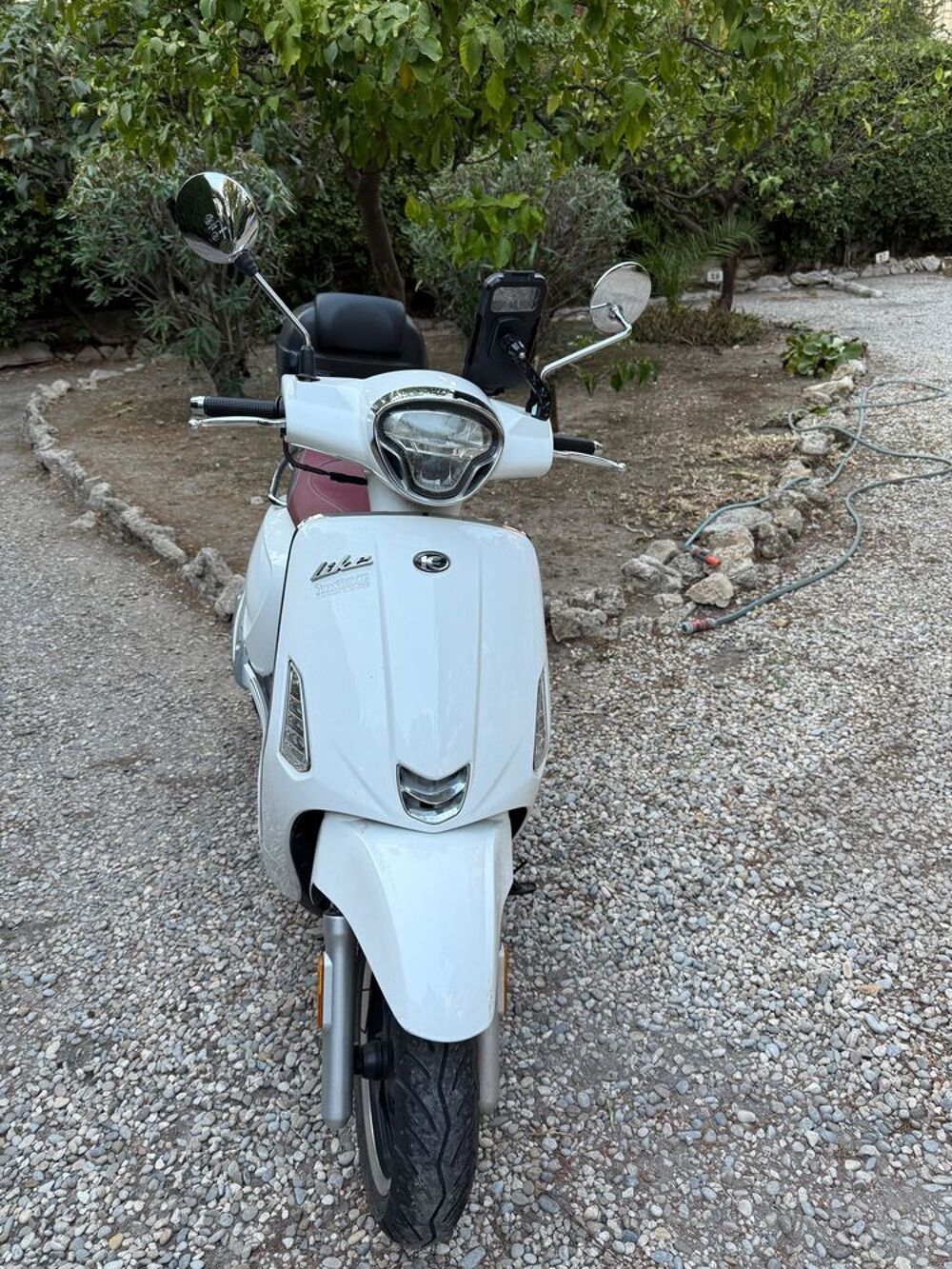KYMCO 2019 occasion 06000 Nice