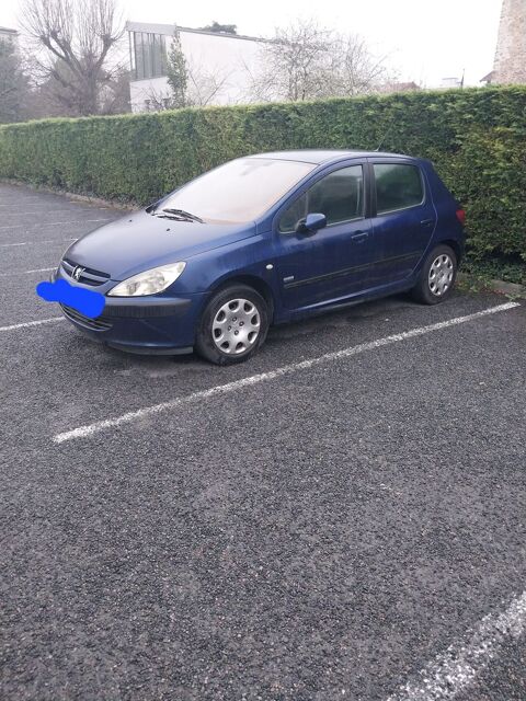 Peugeot 307 1.6i 16V XS