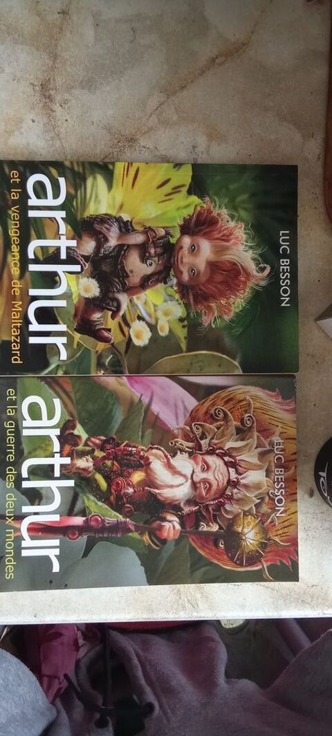 Livres Arthur 20 Nantes (44)