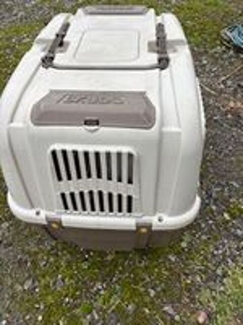   varicanelle pour gros chien 