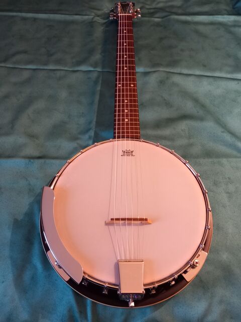 Banjo 120 Hricy (77)