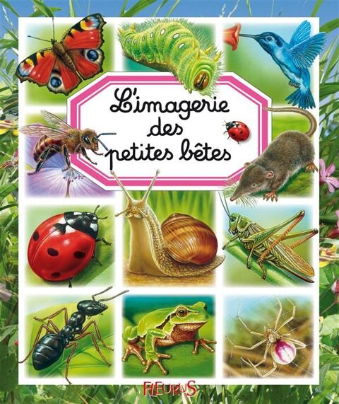 L'imagerie des petites bêtes 3 Cabestany (66)