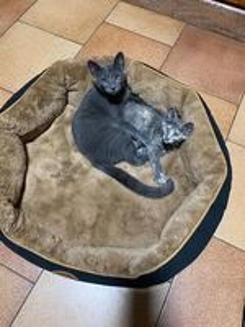   BLUK et MONI 