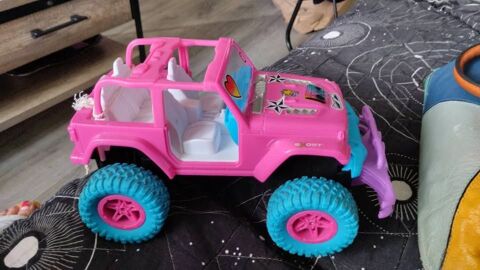 voiture Couëron (44)