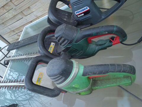 TAILLE HAIE 10 Saint-Gilles-Croix-de-Vie (85)