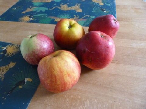 pommes a couteau 1 Saint-Victor-l'Abbaye (76)