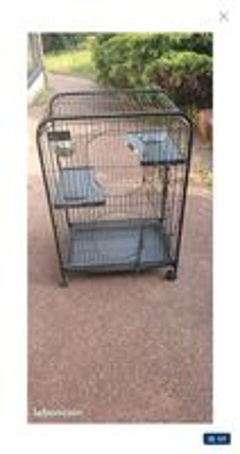   Cages chinchila ou autres rongeurs  