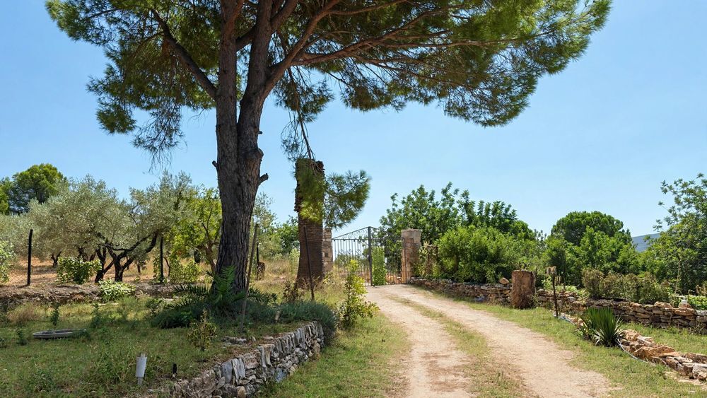 Vente Chalet Finca 10.000m² avec Piscine - Benicarló -espagne Benicarló (Espagne)