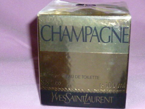 RARE Flacon CHAMPAGNE de YSL  ( NEUF) 0 Vernet (31)