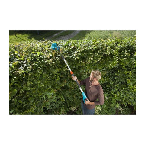 taille haie lectrique 0 Bruges (33)