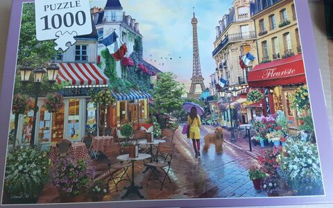 Puzzle 3 Reims (51)
