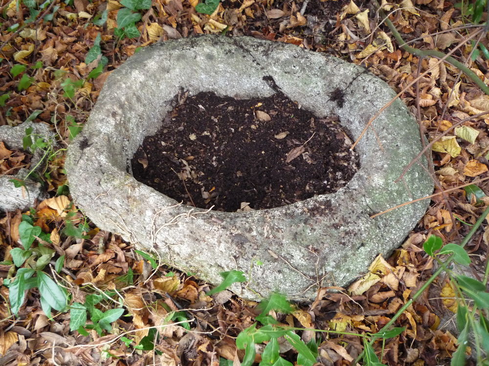 Auge en granit Jardin
