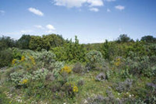  Terrain  vendre 87220 m