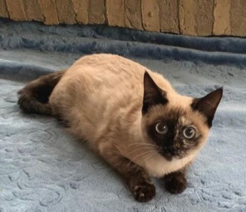 GEMA 180 27620 Gasny