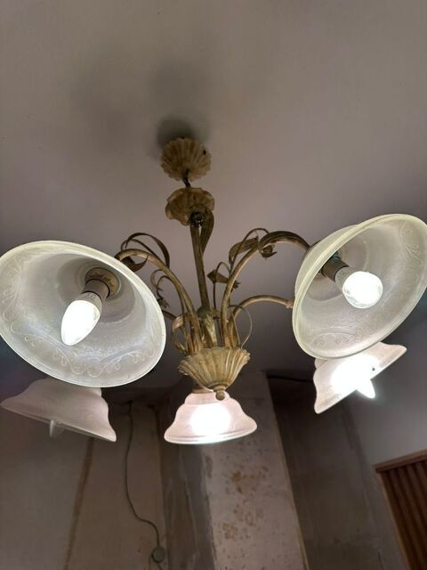 lustre 5 branche tulipes patte de verre 40 Mions (69)