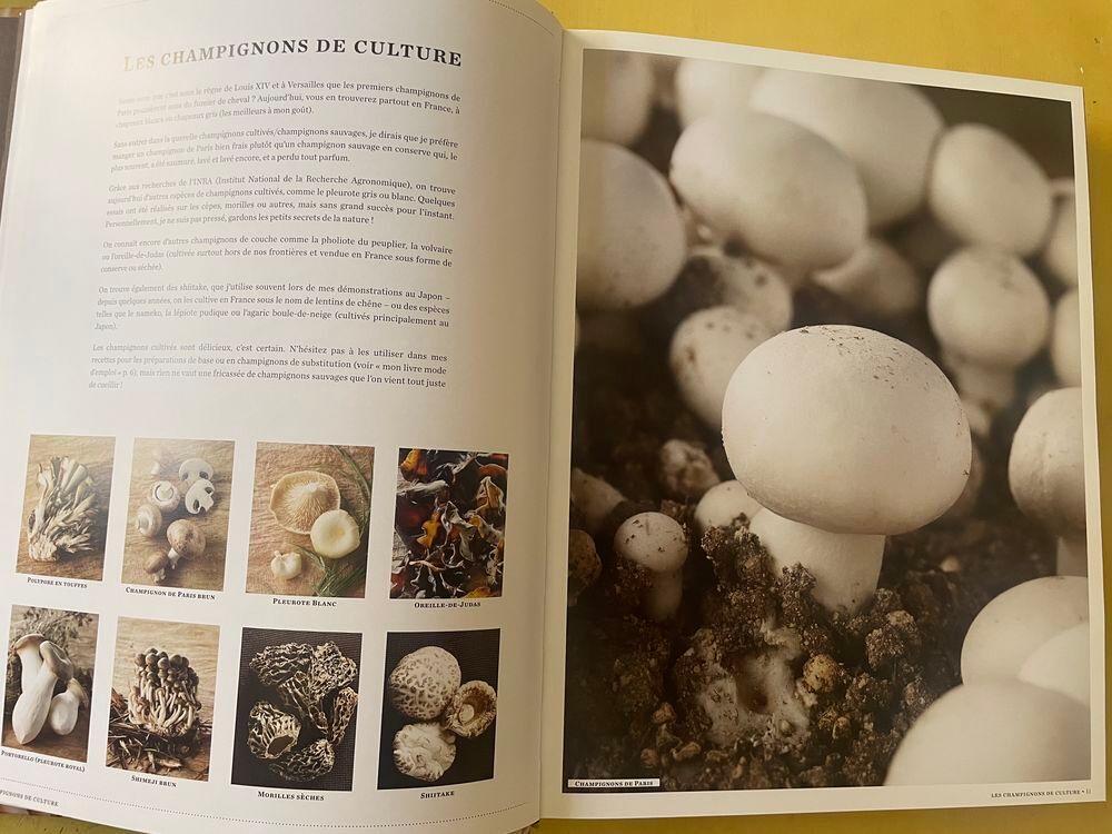 Livre Champignons - R&eacute;gis Marcon (Reli&eacute;, Grand format) Livres et BD