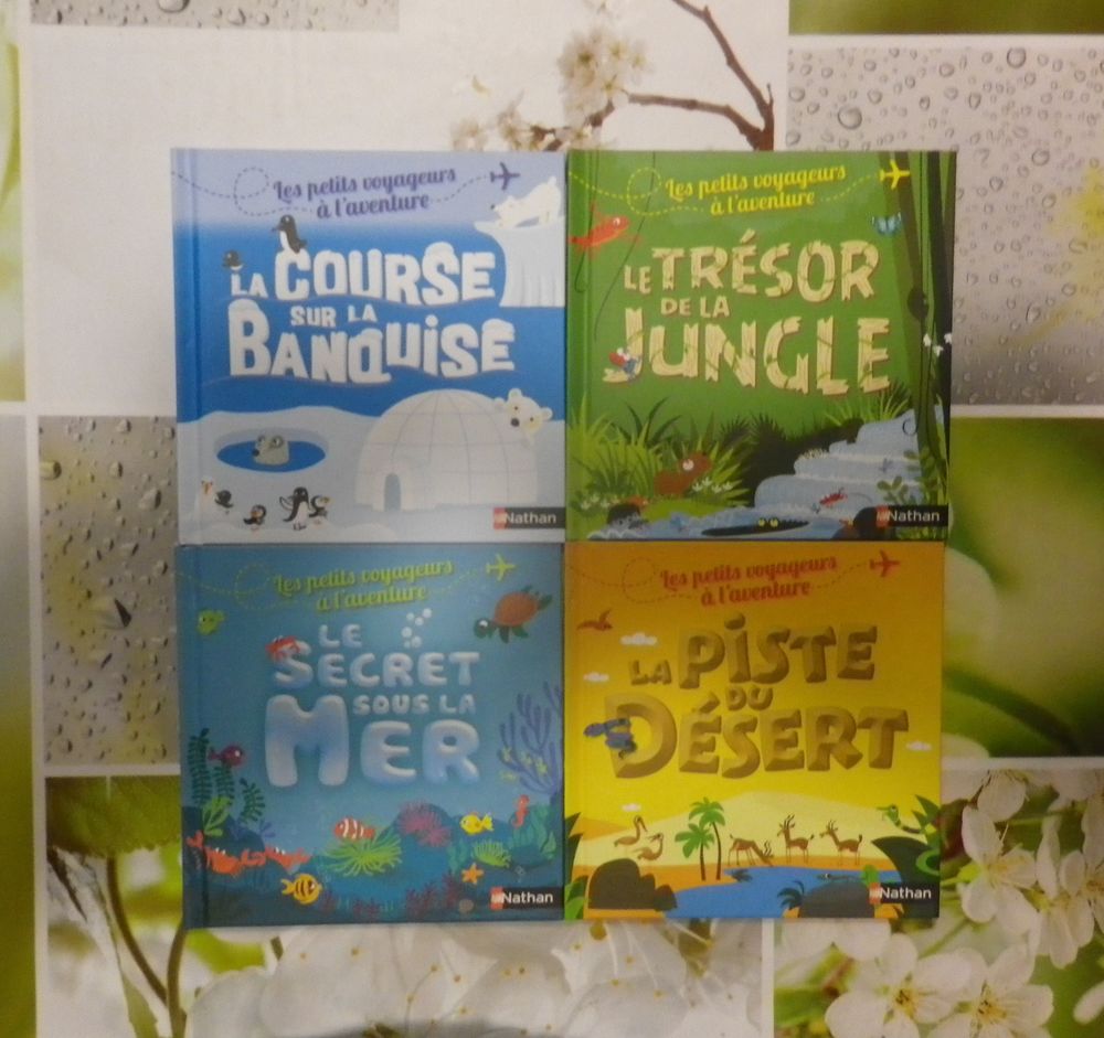 LOT DE 4 LES PETITS VOYAGEURS A L'AVENTURE NATHAN Livres et BD