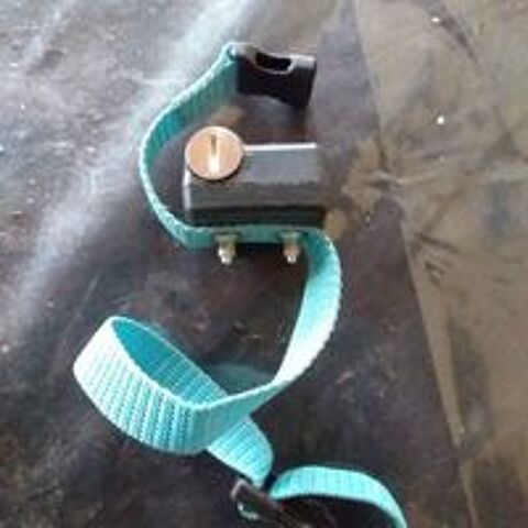   Colliers et cl�ture  pour chien 